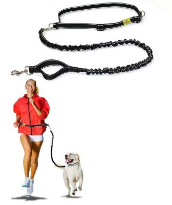 China Viable Hands Free Lightweight Dog Leash Premium Running Dog Leash Bungee Reflective Dog Leash for sale