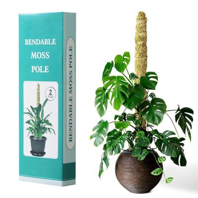 China 2Pcs Modern Moss Pole for Plant Bendable Monstera Stakes Sphagnum Forest Moss Stick Potted Plants Thin Handmade for sale