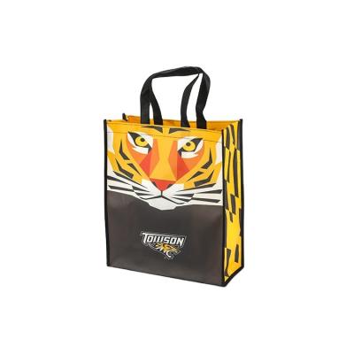 China 100% Eco-friendly Colorful Promotional Non Woven PP Shopping Bag Woven Shopping Bags for sale