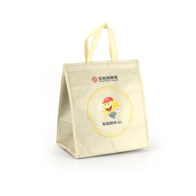 China 2023 New Waterproof Disposable Insulated Food Bags Handle Thermo Bag Thermal Cooler Bag for sale