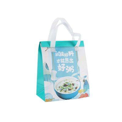 China Waterproof Disposable Thermal Insulated Delivery Bag For Drink Hot And Cold Thermal Bottle Bag Eco Cooler Cooler Bags for sale