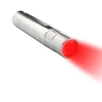 China High Quality Handheld USB Type-C Dye Removal LED Torch Fill Light To Promote Cellular Health for sale