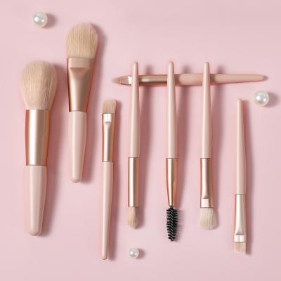 China 2021 New Wholesale Private Label Makeup Brush XINYAN 2021 Smudge Pink Makeup Brush for sale