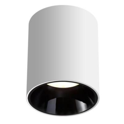 Cina Le serie di WP-10W impermeabilizzano il soffitto Downlight montato di superficie di Ip65 LED in vendita