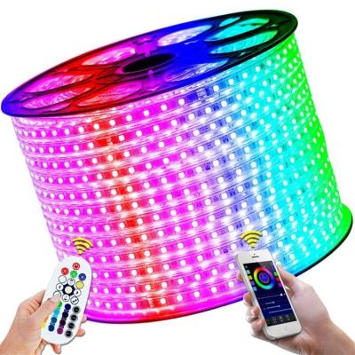 China CRI 80 Lifespan hours 50000 240V 230V 110V 220V RGB 5050 Color Change LED Strip Lights with Remote for sale