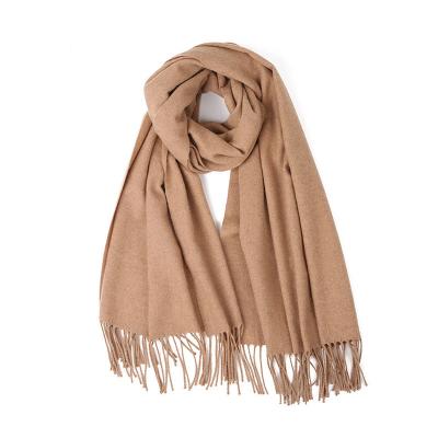 China 2022 New Color Decoration Clothing Scarf Long Exquisite Sheer Thick Tassel Large Size Custom Scarf For Women for sale