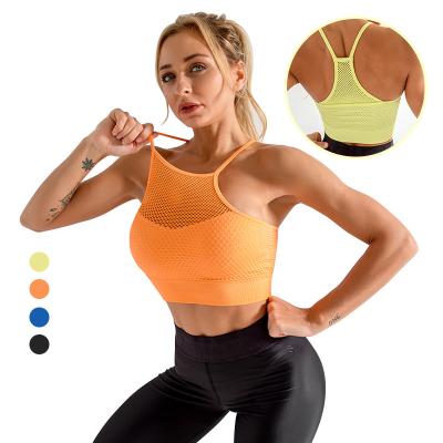 China Running Sports Quick Dry Breathable Padded Breathable Mesh Sport Bra Women Ladies Yoga Seamless Fitness Warm for sale