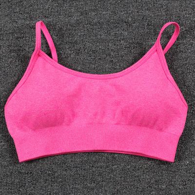 China 2022 breathable wholesale seamless fitness sports bar wear active women wholesale fitness sports bar with pads for sale