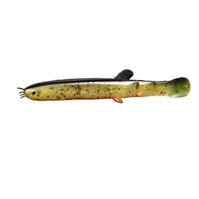 China Freshwater Perch Zander Loach Fishing Lures WONDERFUL Bionic Plastic Hard Bait 7cm 10cm 2.4g 5.5g for sale