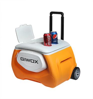 China Loudspeaker 28L Sustainable Plastic Beer Drink Cooler Box With Wheels And Trolley for sale