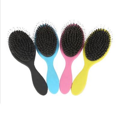 China Hot Selling Cushion Private Label Professional Boar Bristle Wet Hair Brush For Women for sale