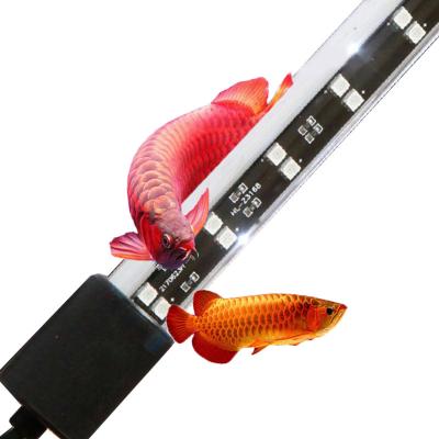 China Coral Reef Aquarium Full RBG Suction Cups LED Fish Light Strong Fish Tank Lighting Zaohetian Waterproof Brightness of Light for sale