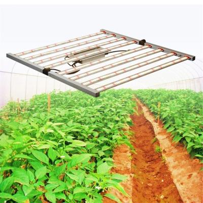 China Seed starting best selling 640W indoor herbal medicine hot sale zaohetian led grow lights led light for plant to grow for sale