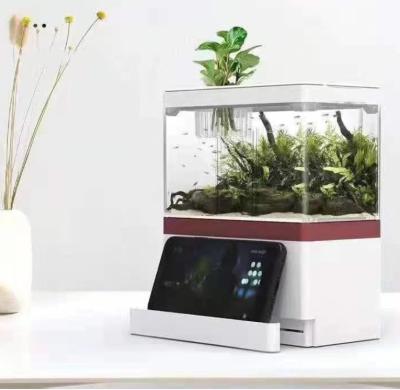 China ZAOHETIAN 2021 Viable Hot Selling Mini Fish Farming Modern Desktop Tank for sale