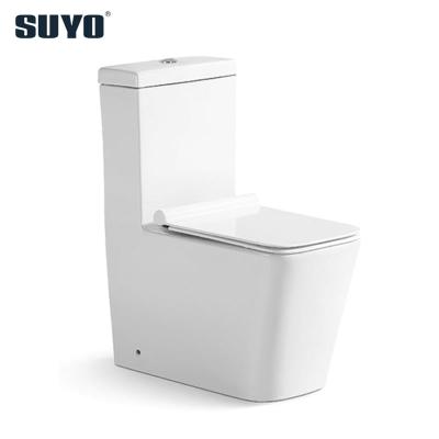 China Hot Selling Good Quality Double-Flow Toilet Set Ceramic Squat Commercial Washdown One-Piece Toilet for sale