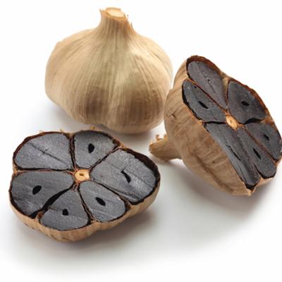 China 100 fresh natural organic fermented black garlic to make melanin for sale