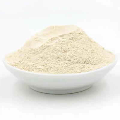 China Factory Supply Best Quality Dried Garlic Powder Get Free Samples for sale