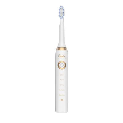 China Wholesale Women and Men USB Electric Rechargeable Gift Fashionable Toothbrush NS-601 for sale