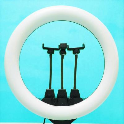 China Dimmable shine led ring light with tripod stand photography camera accessory ringlight stand dimming for sale