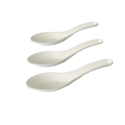 China Factory Supply Attractive Price Disposable Natural Tableware Eco - Friendly Spoon P10 for sale