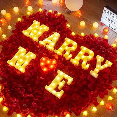 China Building Maker Custom Marry Me Light Letters Marry Decor LED Marquee Letter 4ft Mr & Mrs Sign for sale