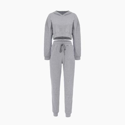 China Breathable Women Plain Jogging Hooded And Loungewear Cotton Ribbed Sweatsuit Tracksuit for sale