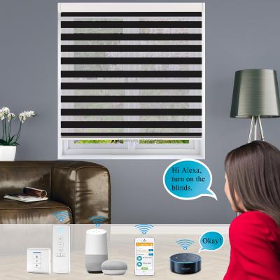 China Alexa Controlled Wifi Tuya Smart Zebra Black Dual Color UV Protection Automatic Blinds For Windows for sale