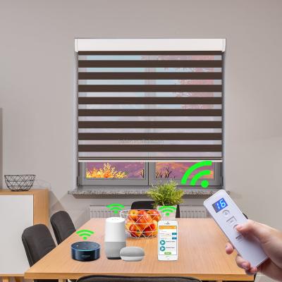 China Smart Home Day and Night UV Protection Office Window Zebra Shades Warm Motorized Roller Blinds for sale