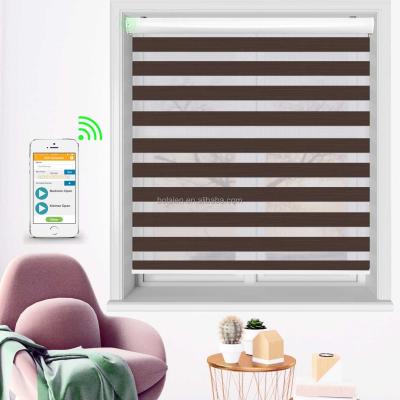 China UV Protection Wifi Smart Control Motorized Zebra Roller with Google Home and Alexa Control Automatic Smart Blinds for sale