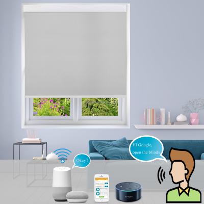 China Tuya Smart Home UV Protection WIFI Blind Shade Curtain Roller Remote Control Shade for Windows for sale