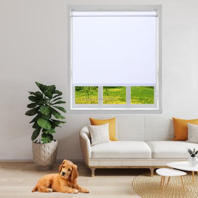 China Customized Blackout UV Protection Project Size Sunscreen Roman Shade Manual Roller Blinds for sale