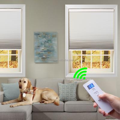 China Day And Night UV Protection Cellular Honeycomb Shades Dual Cell Light Filtering / Blackout Motorized Honeycomb Shades for sale