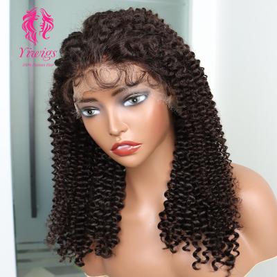 China Body Wave 13X4 12A Double Drawn Natural HD Lace Wig Brazilian Virgin Afro Kinky Curly Human Hair Wig For Black Women for sale