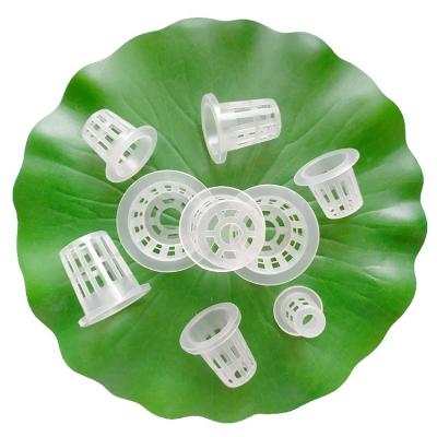 China Garden Hydroponics System Equipment Hydroponics System 40# Aquaponics Vegetable Growing Greenhouse Grow Net PP Plastic Cup for sale