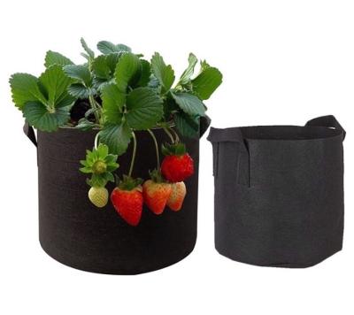 China Pastoral Indoor Greenhouse Planting Bag for sale