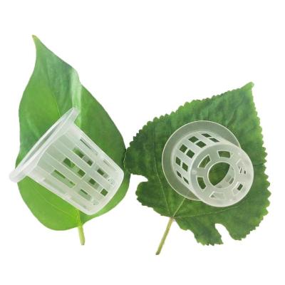 China Pastoral Indoor Aquaponics 45#55 Vertical Growing Systems For Home Agriculture Hydroponic Greenhouse Green House Plastic Pots for sale