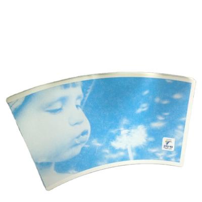 China Factory Direct Raw Material Waterproof Flexo Printing Custom Printing PE Coated Cheapest Price Paper Cup 20oz Fan for sale