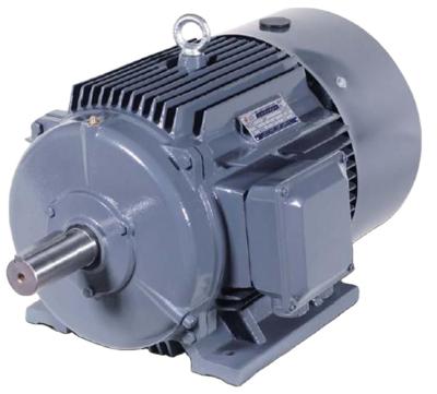 China Totally Enclosed Siemens 3 Phase Vertical Induction Motor AC Motor 0.5 HP Electric Motor IEC Standard for sale