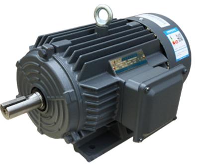 China IP55 3 phase industrial electric motor 100hp electric motor 3 phase electric motor for sale