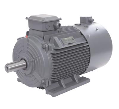 China IP55 SIEMENS BEIDE YVF2 Series High Efficiency Three Phase Asynchronous Motor for sale