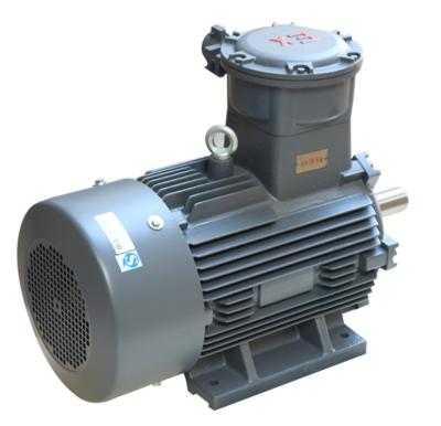 China Explosion Proof Three Phase Induction Explosion Proof AC Motor With CNEX Certificate for sale