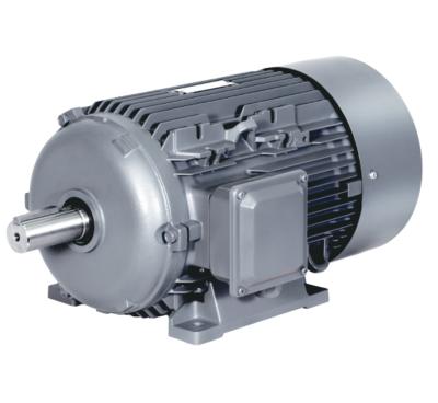 China SIEMENS BEIDE 1TL0003 Series IP55 IP56 IE3 High Efficiency Motor Pump Three Phase Motor for sale