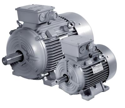 China (IEC 60034-5) IP55 Electric Motor Asynchronous Electric Motor Siemens Three-Phase Motor for sale