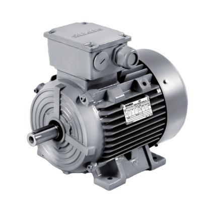 China IP55 (IEC 60034-5) SIEMENS Standard Motor 30KW IE3 4P Three Phase Asynchronous Motor for sale