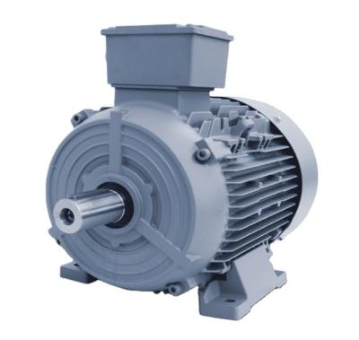 China IP55 (IEC 60034-5) Siemens Motor 3 Phase Asynchronous Motor Low Voltage Aluminum Housing Induction Motors for sale