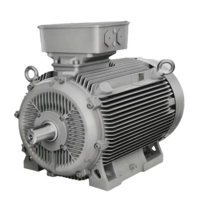 China IP55 (IEC 60034-5) SIEMENS 1LE8 200kw AC Electric Motor Motor AC Electric Induction Motor For Generator for sale