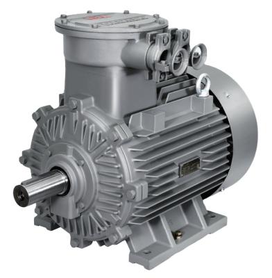 China Siemens AC Induction Motor Totally Enclosed Three Phase Asynchronous Electric Explosion Proof Motor for sale