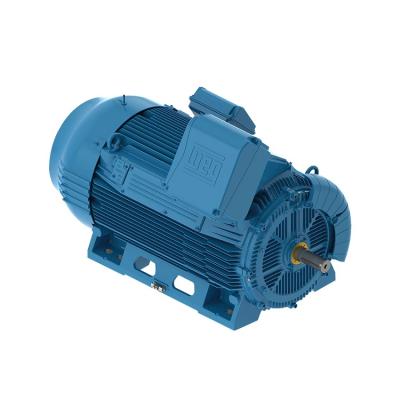 China W50 totally enclosed - the generation of WEG motors for heavy-duty applications for sale