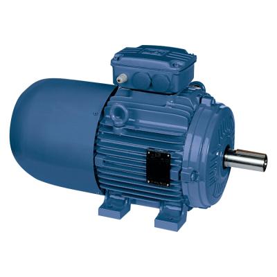 China W21 Totally Enclosed Brake Motor Starting Electric Motor Motor AC Motor for sale