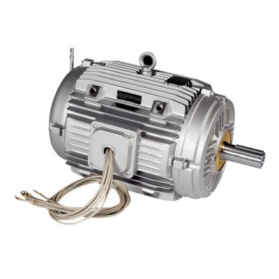 China W21 Totally Enclosed Smoke-Extraction High Temperature Induction Motor for sale